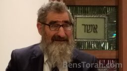 Pesachim 88 - Chiddushei R' Chaim Halevy Chapter 5 Halacha 7