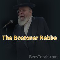 Insights into Disqualification of 'Bal Moom' in the Service of the Kohanim  
