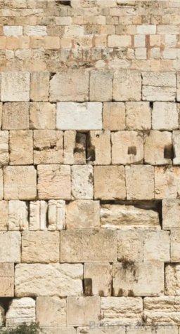 Mizvos Lav Lehanos Nitnu  - Rabbi Binyomin Thumin 