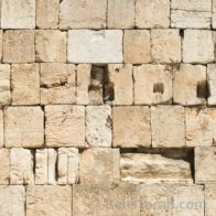 Mizvos Lav Lehanos Nitnu  - Rabbi Binyomin Thumin 