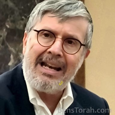 Shabbos That Precedes The Ninth Of Av