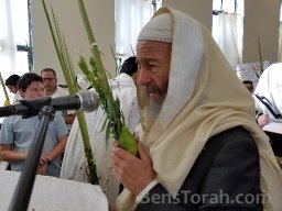 Chaim Dovid - Hallel - 10-19-2016