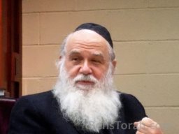 Tisha BAv Shechal Liyos BShabbos