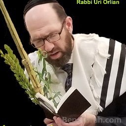 Rabbi Uri Orlian