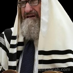 Rabbi Yehoshua Kalish