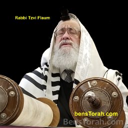 Rabbi Tzvi Flaum