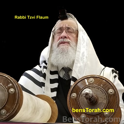 Rabbi Tzvi Flaum